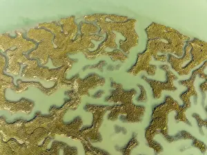 Bird Reserve Aerial Photography Prints: Network of channels and streams at low tide