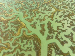 Bird Sanctuary Aerial Photography Prints: Network of channels and streams at low tide
