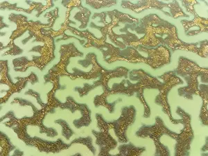 Bird Reserve Aerial Photography Prints: Network of channels and streams at low tide