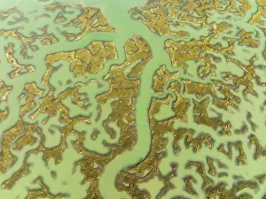 Bird Reserve Aerial Photography Prints: Network of channels and streams at low tide
