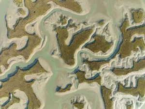 Drone Shot Cadiz Province Prints: Network of channels and streams at low tide