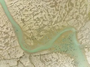 Andalusia Nature Reserve Prints: Network of channels and streams at low tide