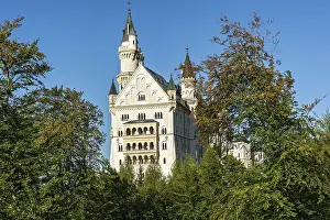 Royal Palace Architecture Prints: Neuschwanstein Castle, Schwangau