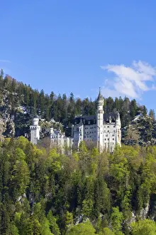 German Castles And Palaces Prints: Neuschwanstein Castle in spring