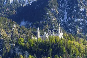 German Fairytale Castle Prints: Neuschwanstein Castle in spring