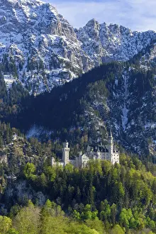Royal Palace Europe Prints: Neuschwanstein Castle in spring