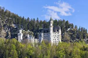 Fairytale Castle Europe Prints: Neuschwanstein Castle in spring