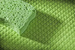 Cleaning Supplies Prints: New kitchen sponge on dishrag