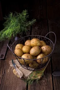 Healthy Food Prints: New small potatoes