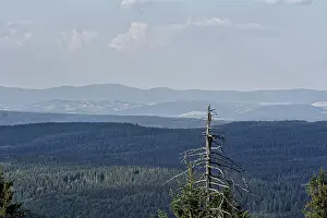 Summer Mountain View Prints: Nice summer mountain view with trees