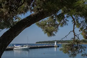 Adriatic Sea Harbor Prints: Novigrad