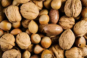 Brown Background Prints: Nuts