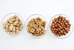 Legume Nutrition Benefits Prints: Nuts