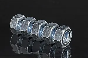 Macro Photography Prints: Nuts