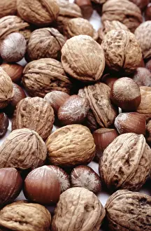 Christmas Nuts Prints: Nuts