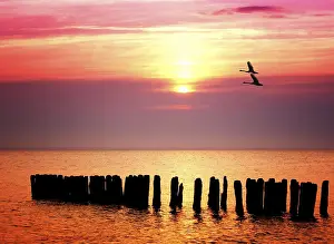 Setting Sun Over Sea Prints: Ocean sunset
