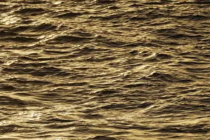 Canary Islands Nature Scene Prints: Ocean surface in the evening light