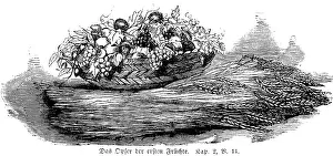 The Offering of the First Fruits Print