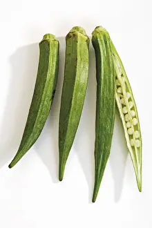 Malvaceae Family Plants Prints: Okra