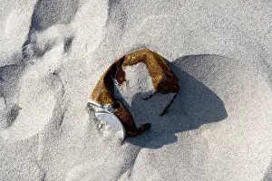 Environmental Conservation Prints: Old can at the beach
