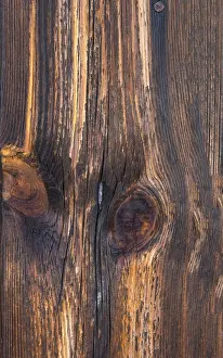 Old Wooden Floor Prints: Old boards