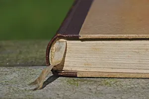 Daytime Leisure Activity Prints: Old book with a bookmark