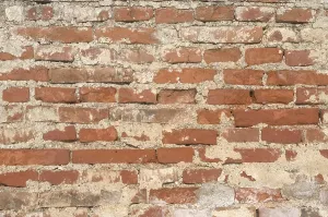 Old Brick Wall Prints: Old brick wall