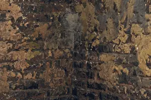 Urban Building Design Prints: Old bricks with shabby plaster wall
