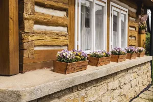 Deserted Old Building Prints: Old house with flower boxes