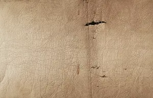 Abstract Desert Landscape Prints: Old leather texture