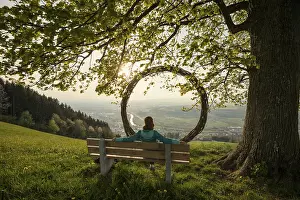 Lake Lucerne Switzerland Prints: Old lime tree and circle of branches