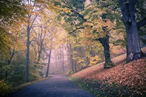 Old Park Germany Prints: Old park in fall. Germany
