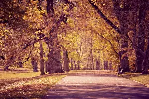 Central Europe Fall Scenery Prints: Old park in fall. Germany