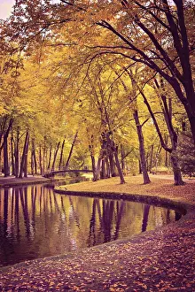 Central Europe Fall Photography Prints: Old park in fall. Germany