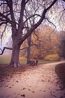 Central European Fall Landscapes Prints: Old park in fall. Germany