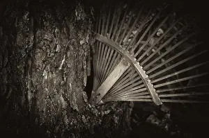 Deserted German Garden Scene Prints: Old rake, rusty, stuck in a tree trunk