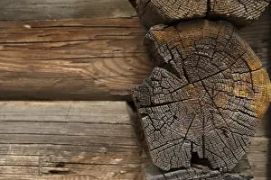 Rustic Wooden Plank Prints: Old timber balk. Wall log