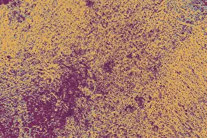 No People Background Graphic Prints: Old weathered grunge wall background texture pattern as abstract background