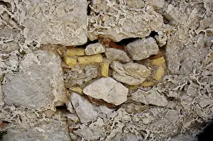 Empty Uninhabited Landscape Prints: Old weathered wall, detail