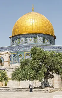 Dome Of The Rock Architecture Prints: Olive tree on a square in front of the Dome of the Rock