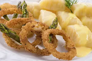 Lithuanian Cuisine Prints: Onion ring white potato dumpling