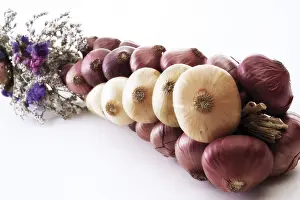 Healthy Eating Vegetables Prints: Onions