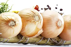 European Vegetable Plant Prints: Onions