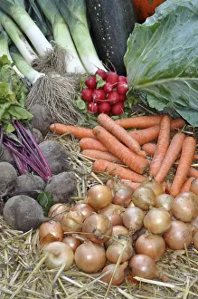 Root Vegetables Prints: Onions, beetroot, leeks, onions