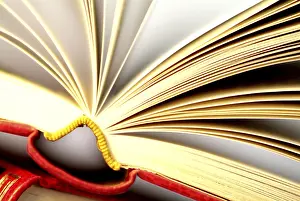 Open Book Prints: Open book
