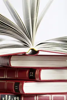 Reference Book Collection Prints: Open lexicon