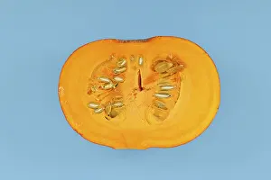 Red Kuri Squash Prints: Open Red Kuri squash