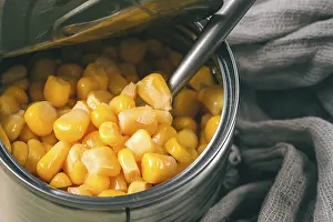 Selective Focus Image Prints: Open tin can, with corn, top view