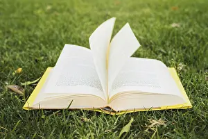 Empty Library Scene Prints: Opened book green grass
