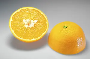 Orange Nutrition Prints: Two orange halves